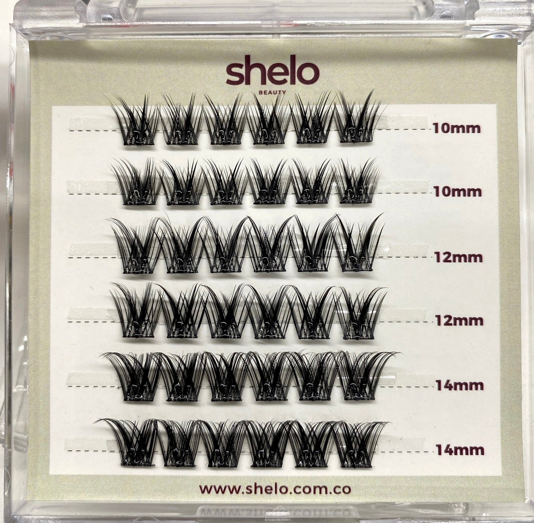 Pestañas individuales P720 naturales Shelo